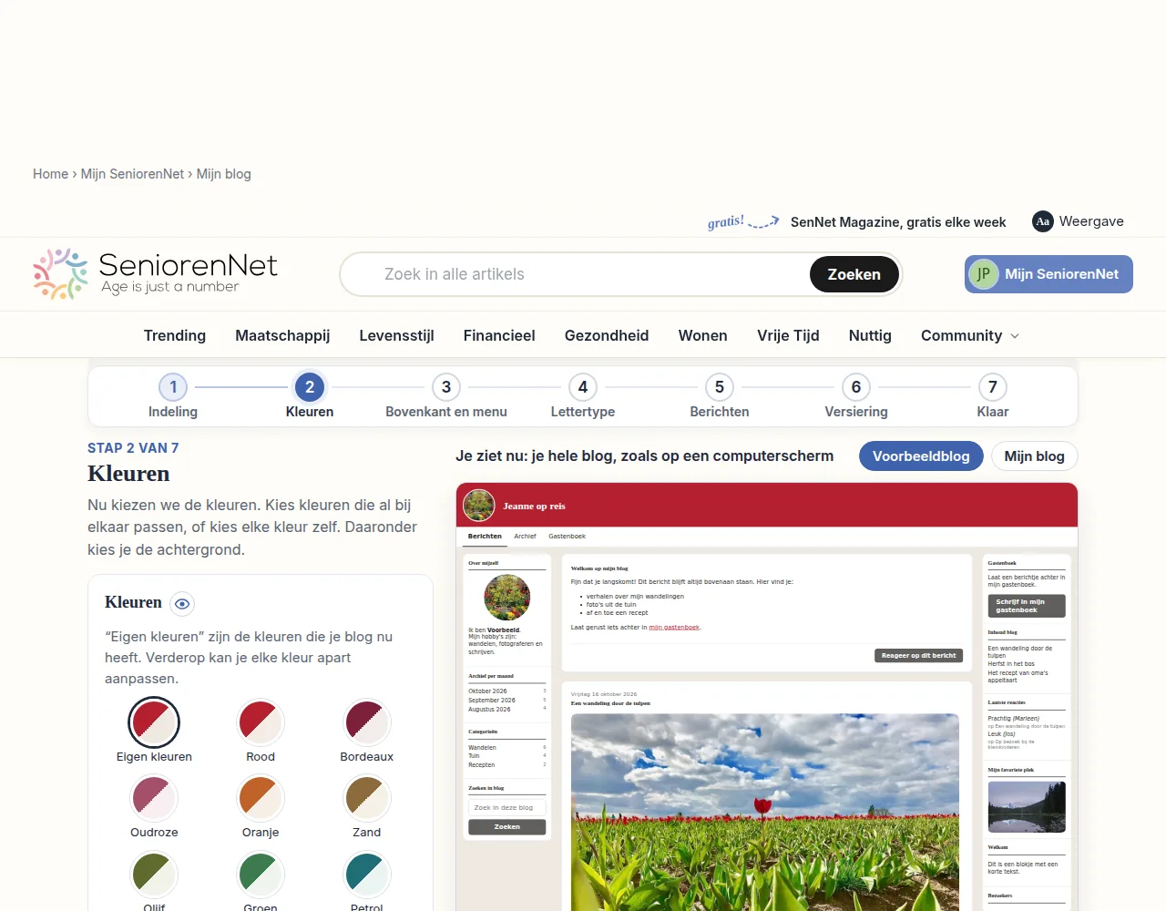 Maak nu je keuze en kijk naar het voorbeeld op de pagina. Dat toont meteen hoe je blog er met die keuze uitziet. Met "Mijn blog" zie je het voorbeeld met je eigen blog in plaats van met "Voorbeeldblog".