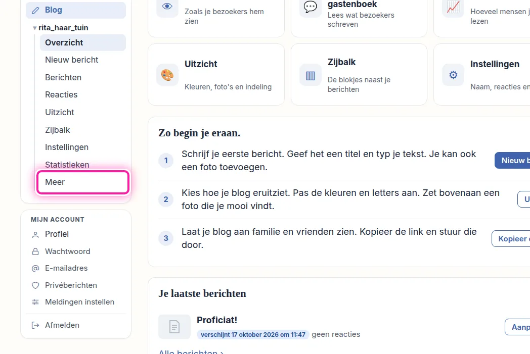 Je bent nu op de pagina waar je je blog beheert. Links, onder de naam van je blog, staat het menu dat bij je blog hoort. Klik daarin op "Meer" om naar de extra mogelijkheden voor je blog te gaan.