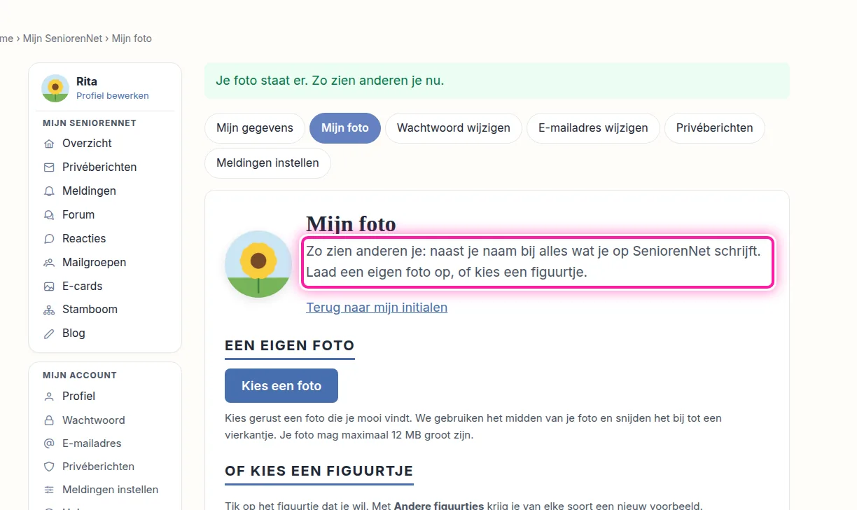 Als je liever geen foto van jezelf gebruikt, kan je een figuurtje kiezen. Onder "Of kies een figuurtje" klik je op het figuurtje dat je graag bij je naam wil. Wil je andere voorbeelden zien, klik dan op "Andere figuurtjes" onder de afbeeldingen.