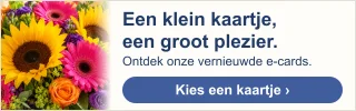 seniorennet.be